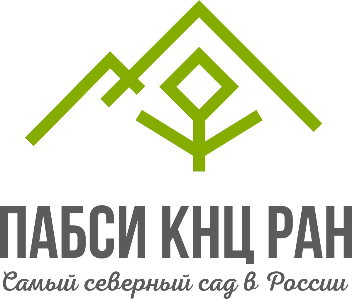 ПАБСИ